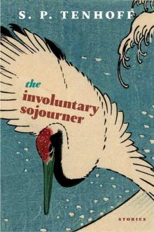 The Involuntary Sojourner Read online