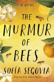 The Murmur of Bees Read online