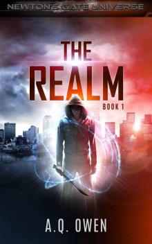 The Realm Read online