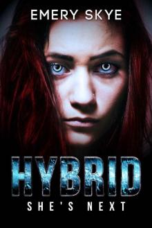 HYBRID Read online