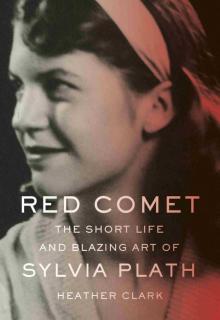 Red Comet Read online