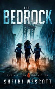 The Bedrock Read online