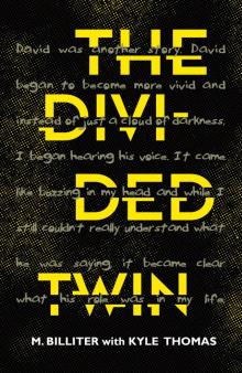 The Divided Twin Read online