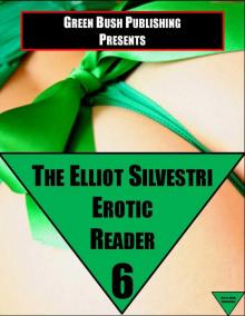 The Elliot Silvestri Erotic Reader Volume 6 Read online
