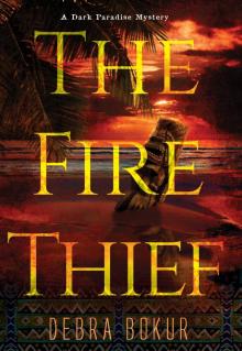 The Fire Thief Read online