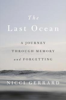 The Last Ocean Read online