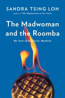 The Madwoman and the Roomba Read online