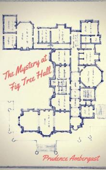 The Mystery at Fig Tree Hall Read online