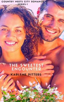 The Sweetest Encounter Read online