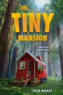 The Tiny Mansion Read online