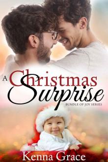 A Christmas Surprise: Bundle of Joy Series Read online