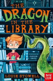 The Dragon in the Library Read online