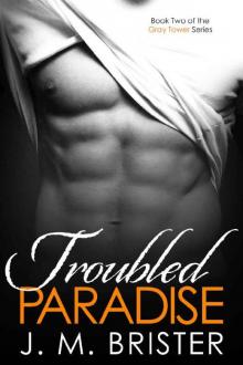 Troubled Paradise (Gray Tower Book 2) Read online
