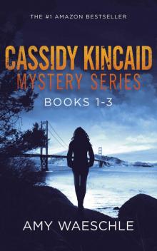 Cassidy Kincaid Mysteries Box Set Read online