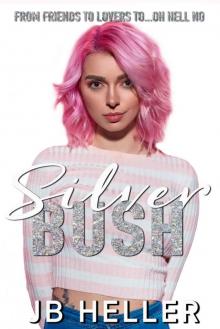 Silver Bush: Awkward Book Three Read online