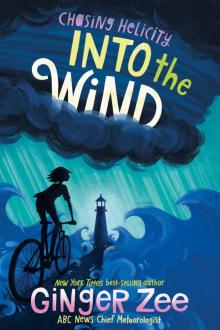 Into the Wind Read online