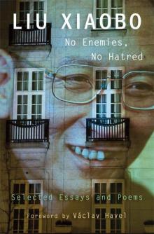 No Enemies, No Hatred Read online