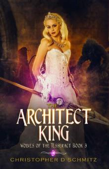 The Architect King Read online