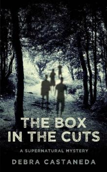 The Box in The Cuts: A Supernatural Mystery Read online