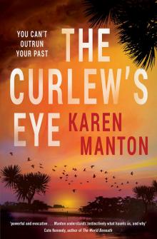 The Curlew's Eye Read online