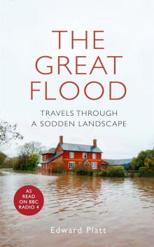 The Great Flood Read online