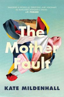 The Mother Fault Read online