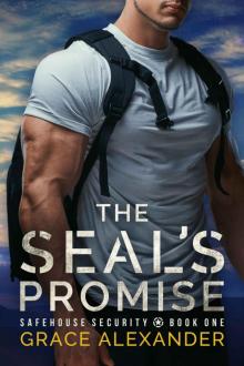 The SEAL's Promise (Safehouse Security) Read online