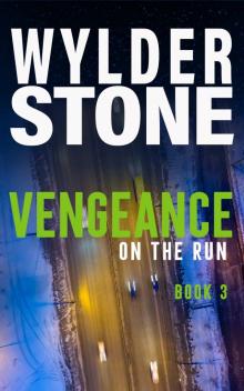 Vengeance On the Run Read online