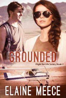 Grounded (Flight for Life Book 2) Read online