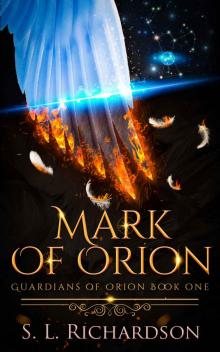 Mark of Orion Read online