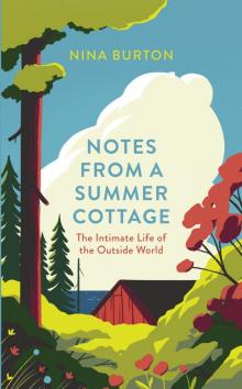 Notes from a Summer Cottage Read online