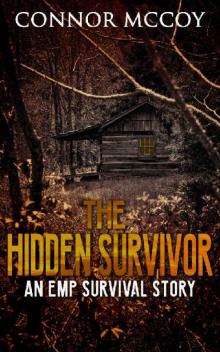 The Hidden Survivor (Book 1): The Hidden Survivor Read online