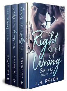 The Right Kind Of Wrong Series: Books 1-3 Read online