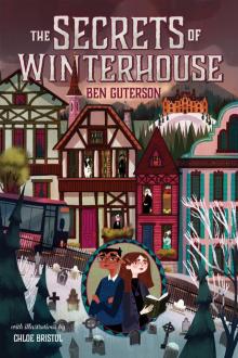 The Secrets of Winterhouse Read online