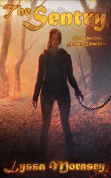 The Sentry Read online