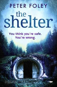 The Shelter Read online
