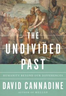 The Undivided Past Read online
