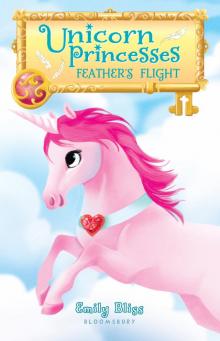 Unicorn Princesses 8 Read online