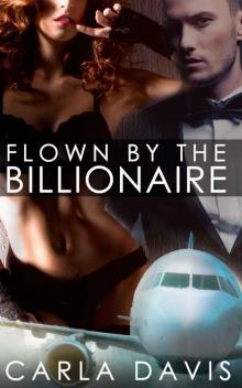 3 BOOK BUNDLE: Flown By The Billionaire I, II, & III Read online