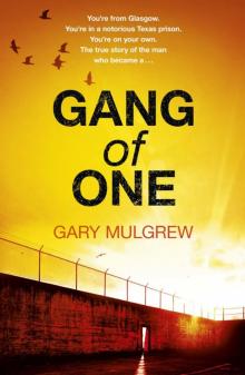 Gang of One: One Man's Incredible Battle to Find His Missing Read online