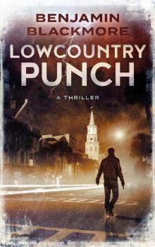 Lowcountry Punch Read online