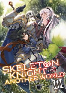 Skeleton Knight in Another World Vol. 3 Read online