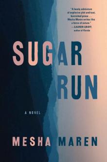 Sugar Run: A Novel Read online