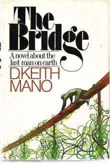 The Bridge Read online