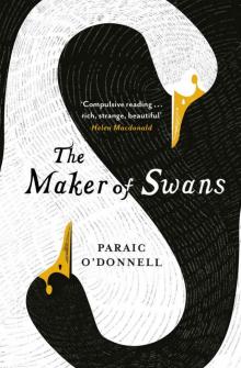 The Maker of Swans Read online