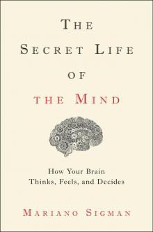 The Secret Life of the Mind Read online