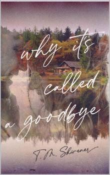 Why It's Called a Goodbye Read online
