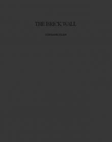 BrickWall_Kobo Read online