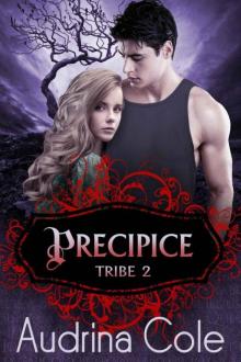 Precipice (Tribe 2) Read online