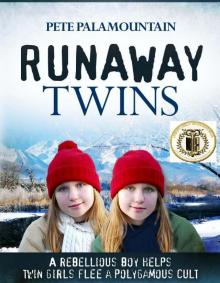 RUNAWAY TWINS (Runaway Twins series #1) Read online